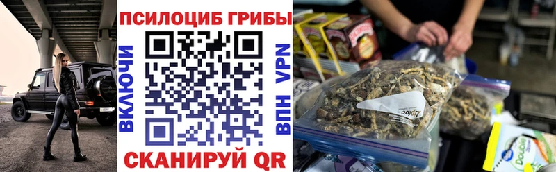 MEGA онион  купить  цена  Фокино  darknet какой сайт  Галлюциногенные грибы Cubensis 