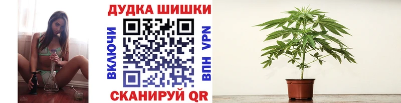 МАРИХУАНА семена  Фокино 